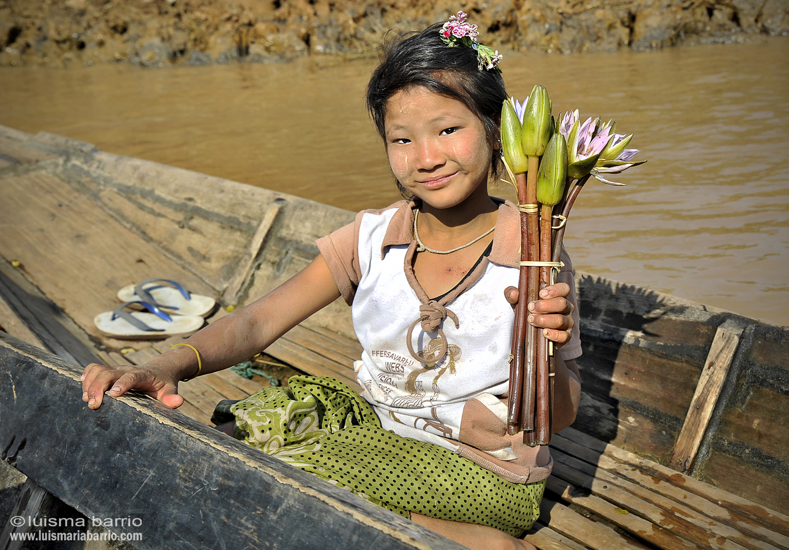girl lotus flower burma myanmar
